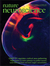NATURE NEUROSCIENCE雜志封面